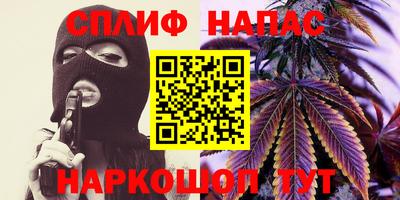 молекула духа Ставрополь